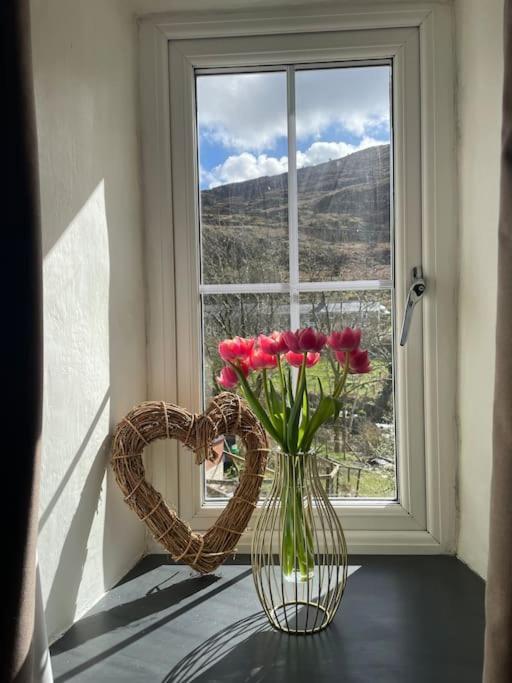 Pen-Y-Bryn Cottage Blaenau Ffestiniog Extérieur photo